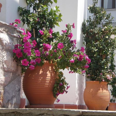 Hotel Pelion Resort Portaria  Exterior photo